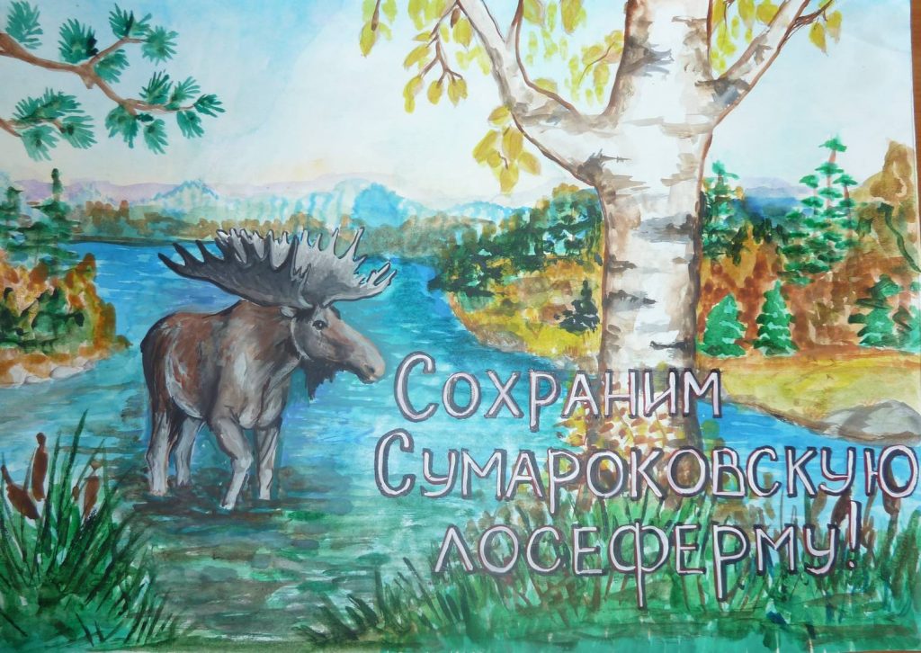 Конкурс плакатов «Сохраним заповедную природу»
